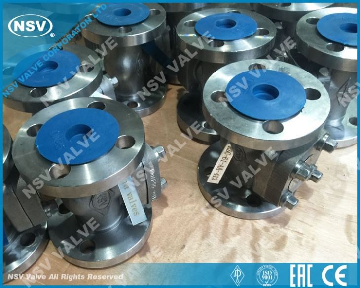F51 Check Valve